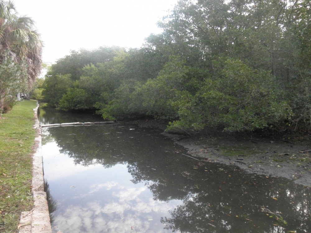 dredging small creeks